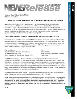 Comment Period Extended for Wild Horse Sterilization Research