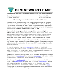 BLM Seeks Experienced Trainers to Train and Market Wild Horses