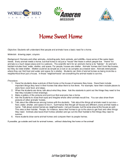 Falcon Habitat Activity for K&ndash;2 Students