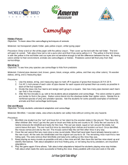 Camouflage Activities for K–2 Students