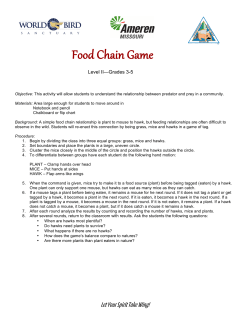 Food Chain Game for Grades 3&ndash;5