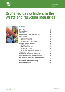 HSE (2013) Orphaned gas cylinders in the waste and recycling industries