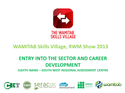Entry into the sector and career development