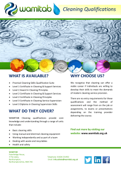 Download Cleaning Qualifications Flyer