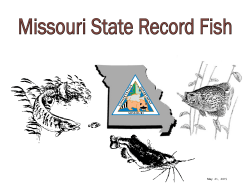 State Record Fish List
