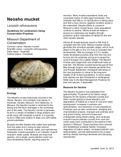 Neosho Mucket Best Management Practices