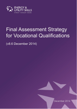 Energy and Utility Skills general assessment strategy