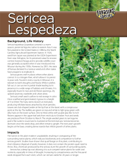 Sericea Lespedeza Invasive Species Fact Sheet