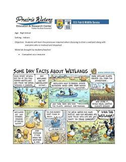 Draining Wetlands Lesson