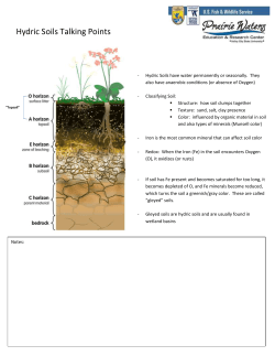 Hydric Soils Talking Points