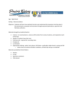 Fall Wetland Lesson