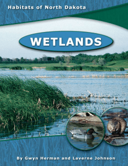 Habitats of North Dakota--Wetlands