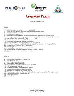 Raptor Crossword Puzzle for Grades 6&ndash;8