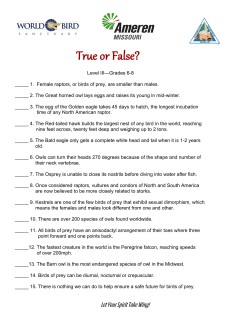 Raptor True/False for Grades 6&ndash;8