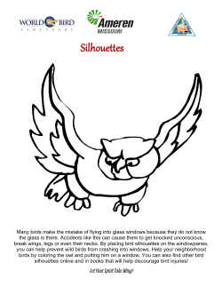 Bird Safety Silhouette for Grades 3&ndash;5