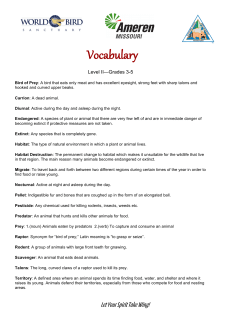 Falcon Study Vocabulary for Grades 3&ndash;5