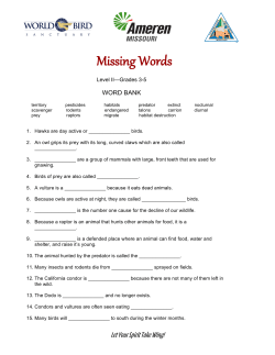 Missing Words Activity for Grades 3&ndash;5