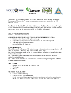 Life Cycle Activity for K&ndash;2 Students