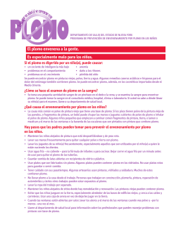 Programa de Prevenci n de Envenenamiento por Plomo en los Ni os