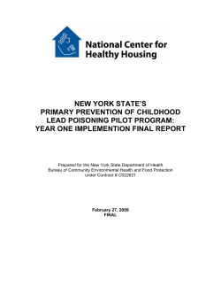 New York State's Primary Prevention of Childhood Lead Poisoning Pilot Program: Year One Implementation Final Report