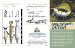 Retired: Know Missouri s Catfish