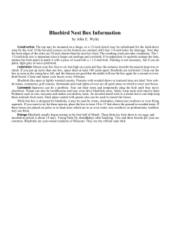 Bluebird House Plans