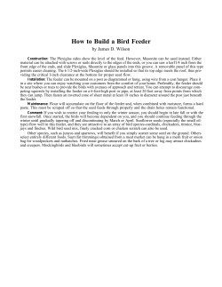 How to Build a Bird Feeder Instructions
