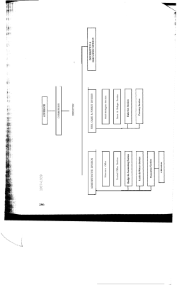 25. The First 50 Years: Tables of Organization