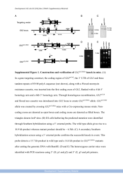 Supplementary Material