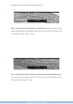 Supplementary Material