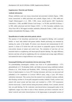 Supplementary Material