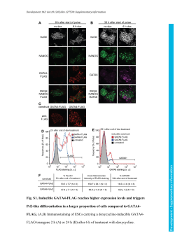 Supplementary information