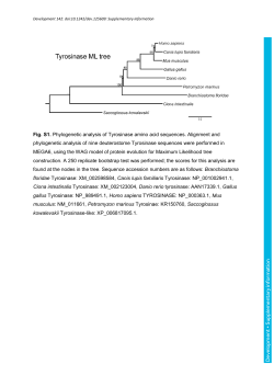 Supplementary information