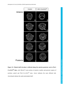Supplementary information