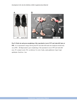 Supplementary Material