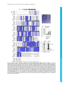 Supplementary information