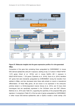 Supplementary Material