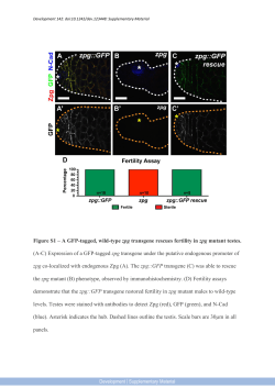 Supplementary Material
