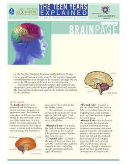 Brainpage