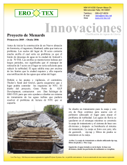 Menards Case Study (Illinois) Spanish Version