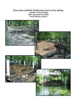 Poe Springs Park Stream Restoration (Alachua County, FL)