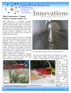 Mole Constructors (Snellville, GA)