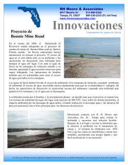Bonnie Mine Road Case Study (Florida) - Spanish Version