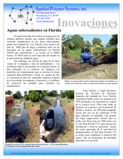 Outstanding Florida Waterbody (Leitner Creek, Florida) - Spanish Version