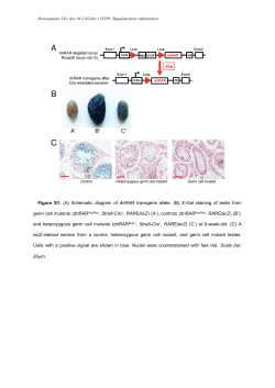 Supplementary information