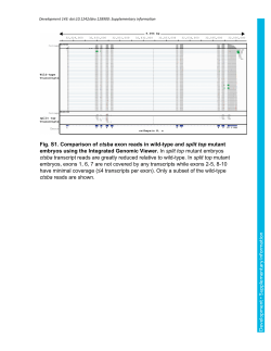 Supplementary information