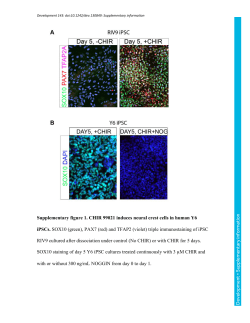 Supplementary information