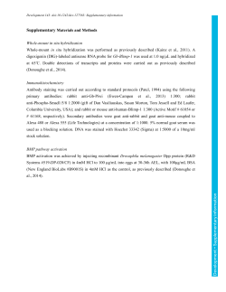 Supplementary information