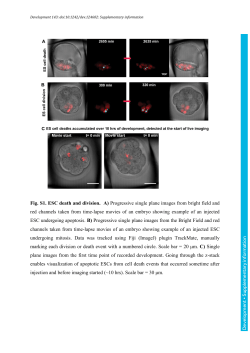 Supplementary information