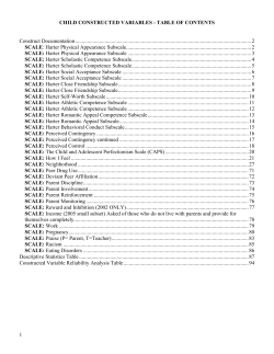 Scale Documentation and Descriptive Analysis